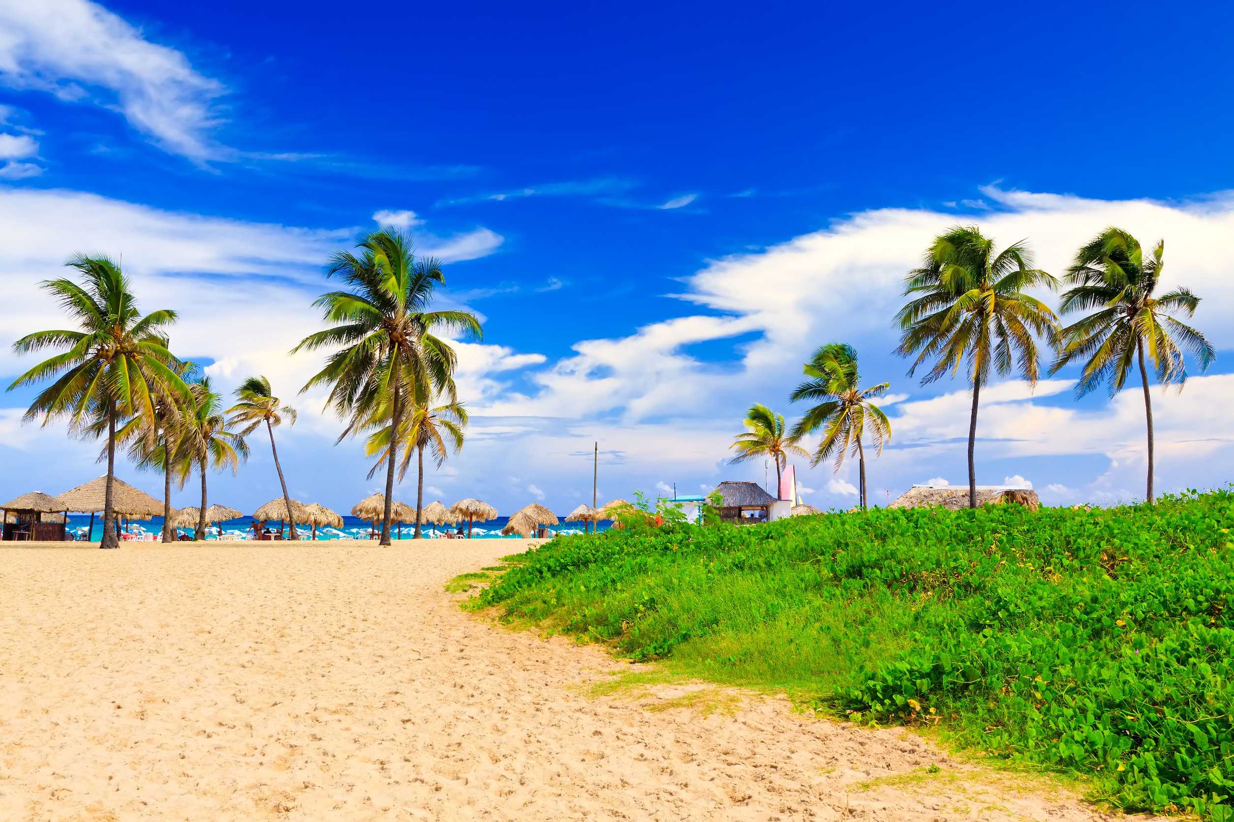 The Beach In Cuba